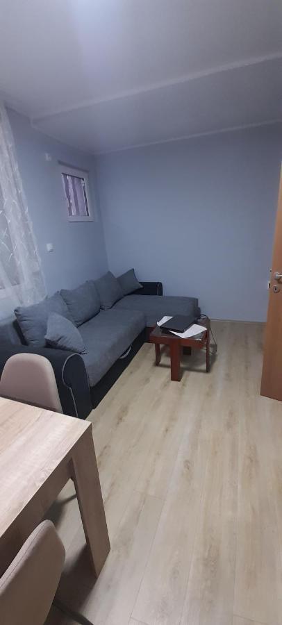 Apartman Vanja Apartment Paracin Exterior photo